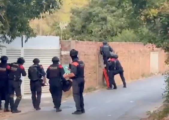 Els Mossos detenen un home a Gavà i comissen 733 plantes de marihuana en una finca amb risc d'incendi